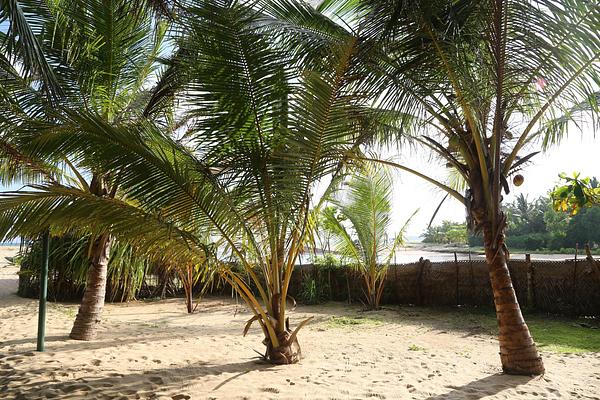 Lonely Beach Resort Tangalle