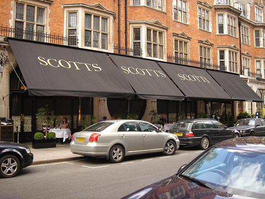 Scott's