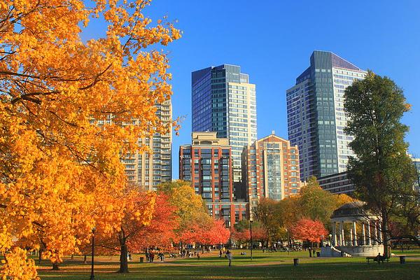 Boston Common