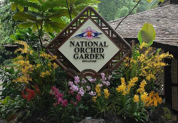 National Orchid Garden