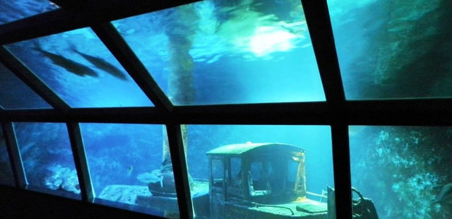 Aquarium de la Reunion