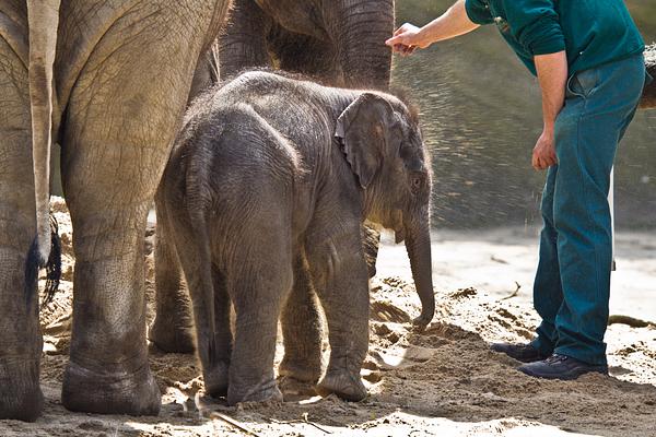 Tierpark Hagenbeck