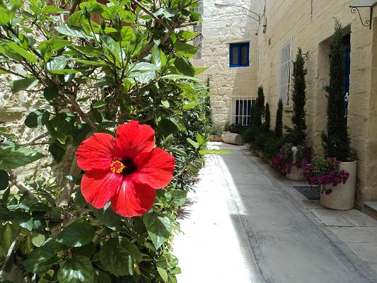 Loggia Mariposa - Boutique Townhouse