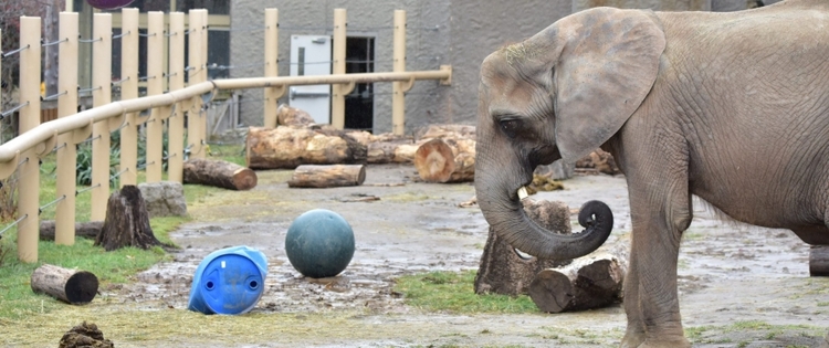 Seneca Park Zoo
