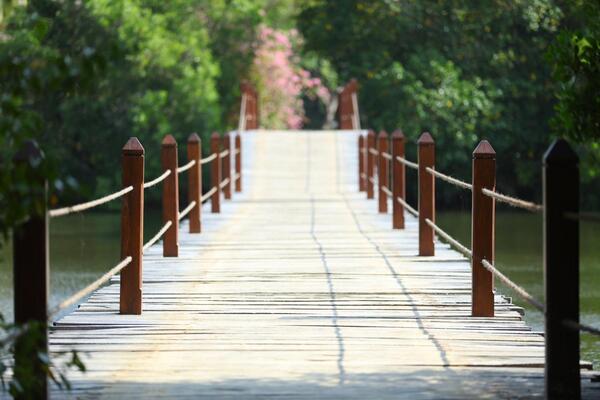 Mangrove Beach Cabanas & Chalets