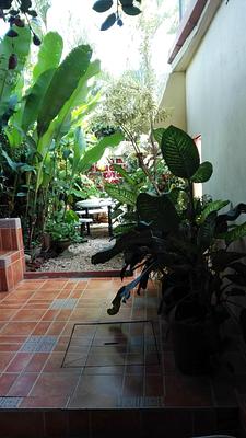 Hotel Pacande B&B
