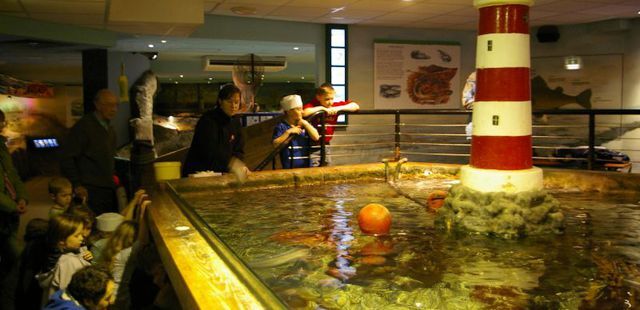 Lakes Aquarium