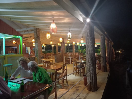The Fig Tree