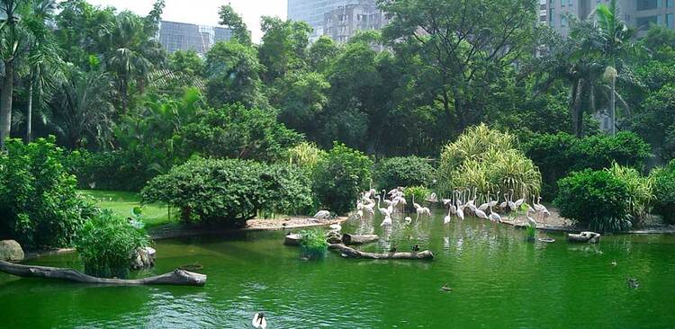 Tsim Sha Tsui