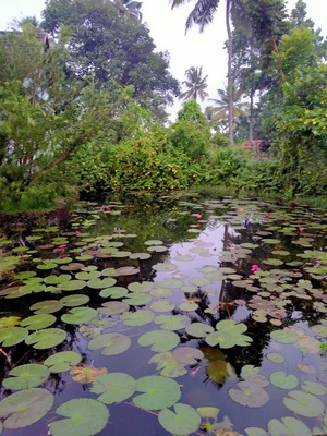Olavipe Homestay