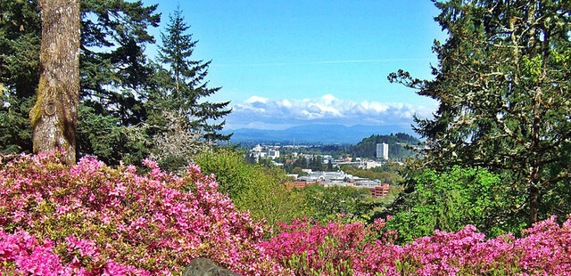 Hendricks Park