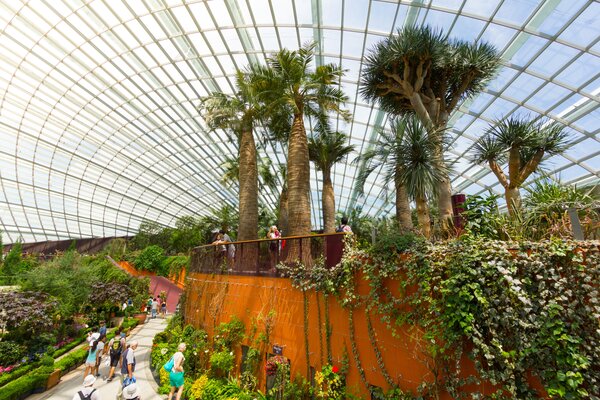Singapore Botanic Gardens