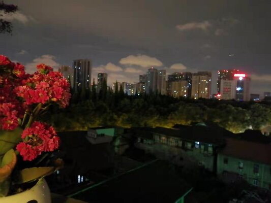 Xishu Garden Inn
