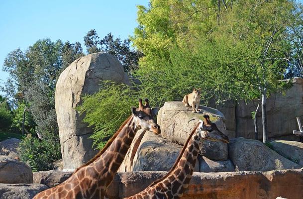 Bioparc Valencia