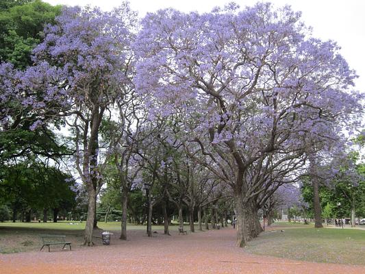 Parque 3 de Febrero