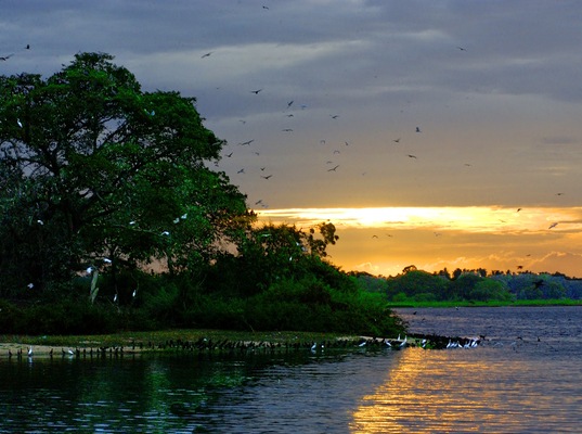 Bundala National Park