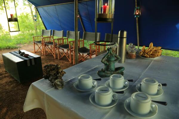 Mahoora Tented Safari Camp Yala