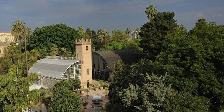 Jardin Botanico