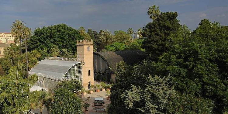 Jardin Botanico