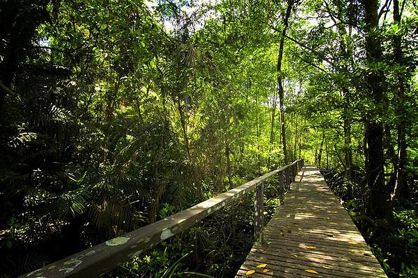 Similajau National Park