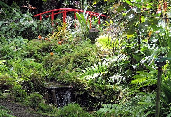 Diamond Falls Botanical Gardens