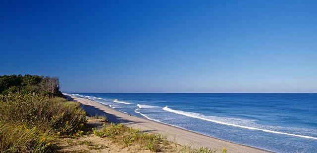 Cape Cod National Seashore