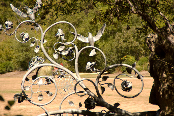 Zilker Botanical Garden