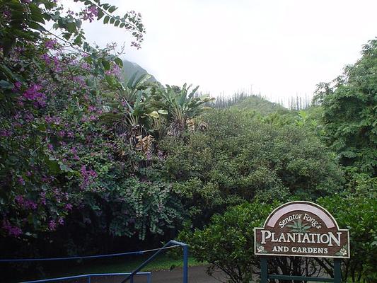 Senator Fong's Plantation and Gardens