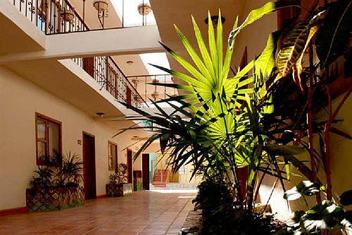 Cabo Cush Hotel