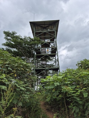 Cano Negro Wildlife Refuge