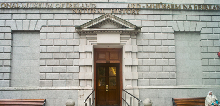 National Museum of Ireland- Natural History