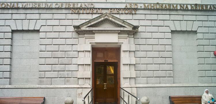 National Museum of Ireland- Natural History