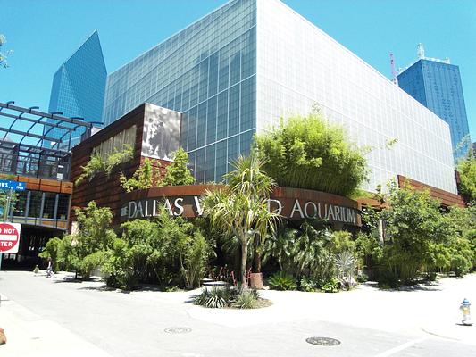 The Dallas World Aquarium