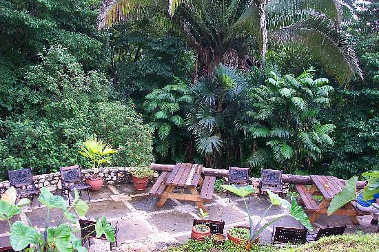 Jade Jungle Resort
