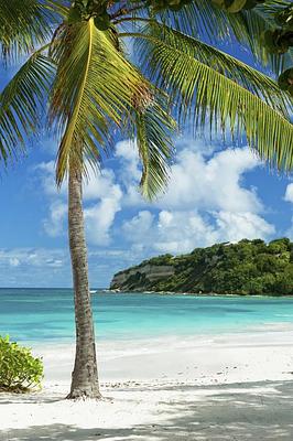 Pineapple Beach Club Antigua - All Inclusive