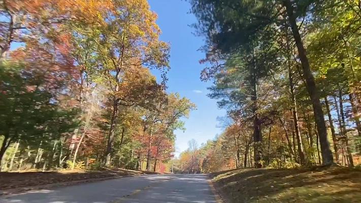 The North Carolina Arboretum