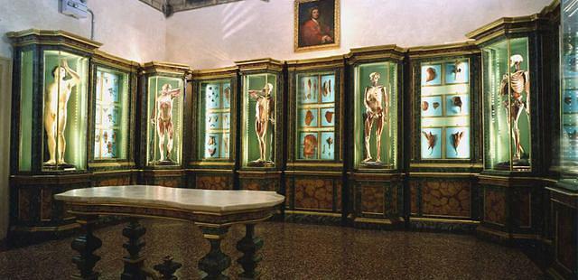 Museo di Palazzo Poggi