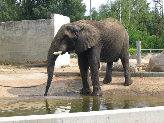 Tallinn Zoo