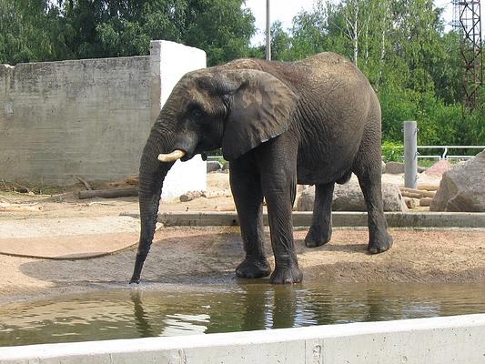 Tallinn Zoo