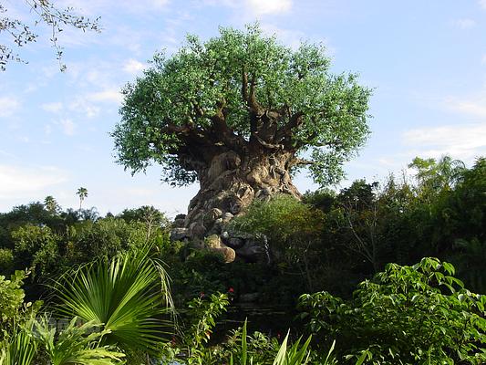 Disney's Animal Kingdom Theme Park