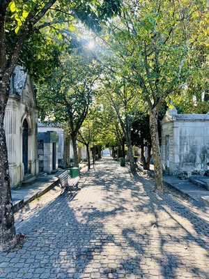 Cemiterio de Agramonte