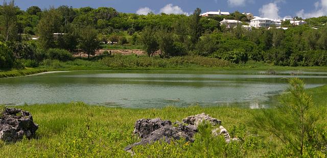 Spittal Pond Nature Reserve