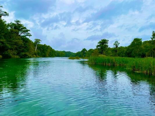 Edward Ball Wakulla Springs State Park