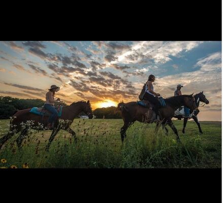Circle S Guest Ranch and Country Inn