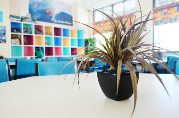 YHA Coolangatta - Gold Coast