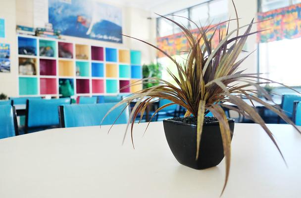 YHA Coolangatta - Gold Coast