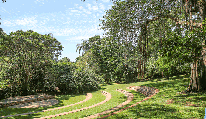 Durban Botanic Gardens