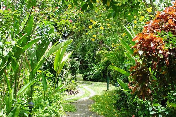 Kariwak Village Holistic Haven and Hotel