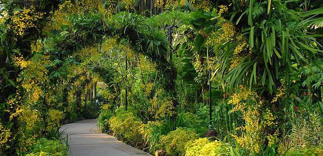 National Orchid Garden