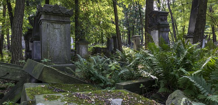 Jewish Cemetery (Cmentarz Zydowski)